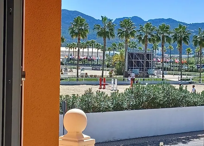 Nova Flat In Front Of Met * Oliva